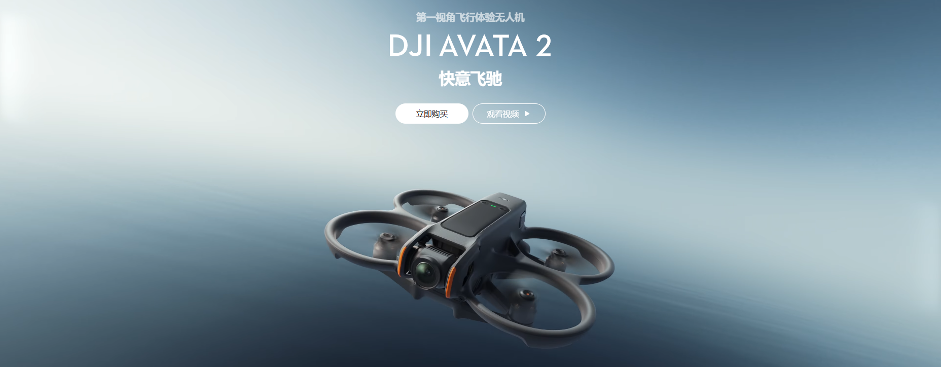 DJI Avata 2